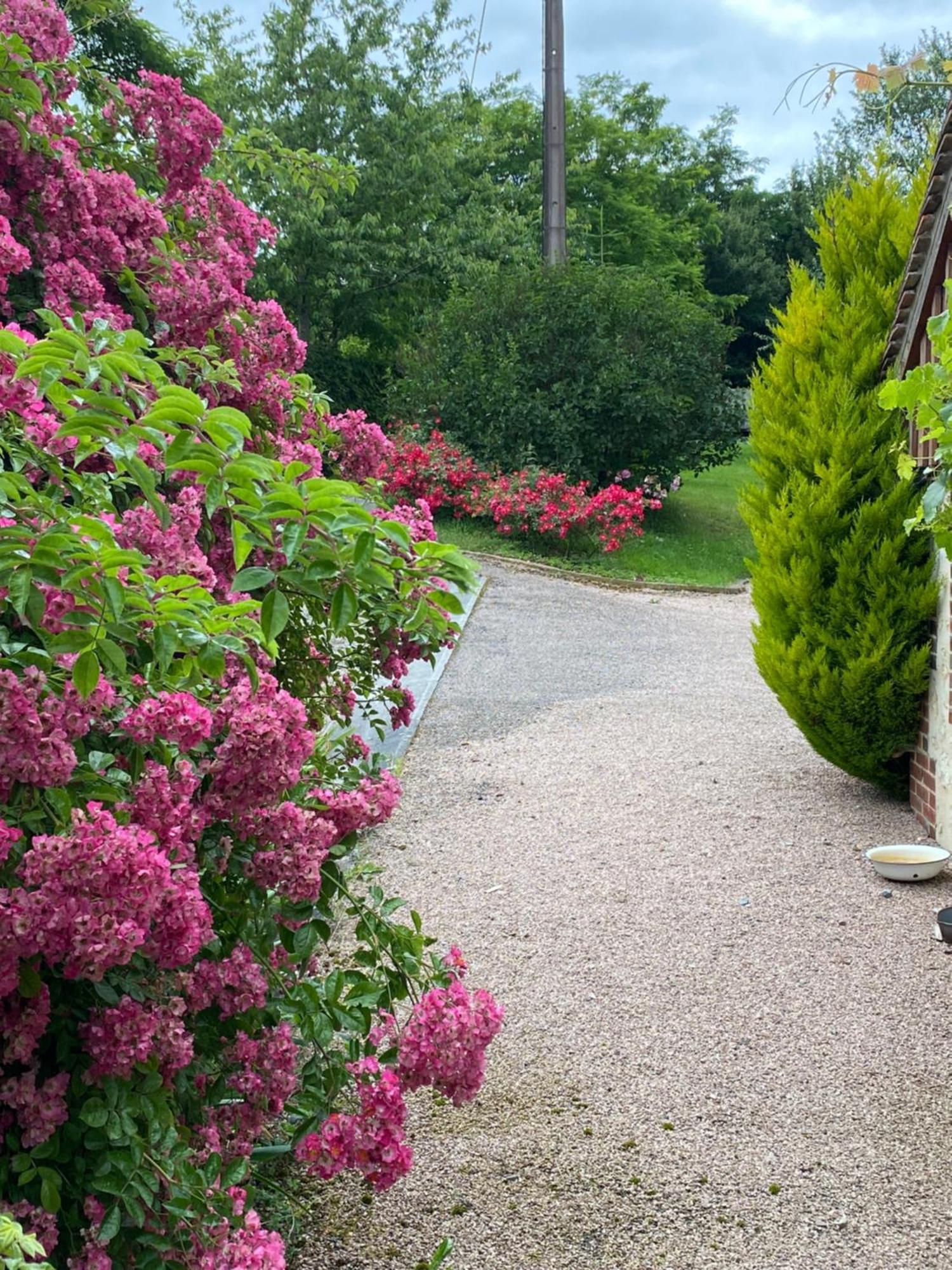 Chambre D'Hotes Du Domaine De La Haute Poignandiere Saint-Germain-de-la-Coudre Exterior photo